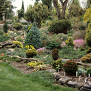 1996 rock garden planting