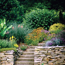 2006 Retention Pond Steps