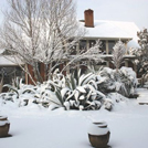 2009 patio in snow from south