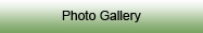 Photo Gallery